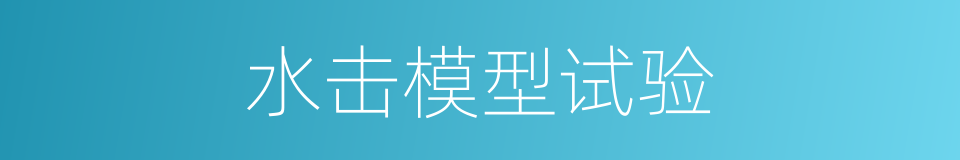 水击模型试验的同义词