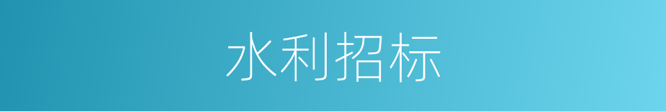 水利招标的同义词