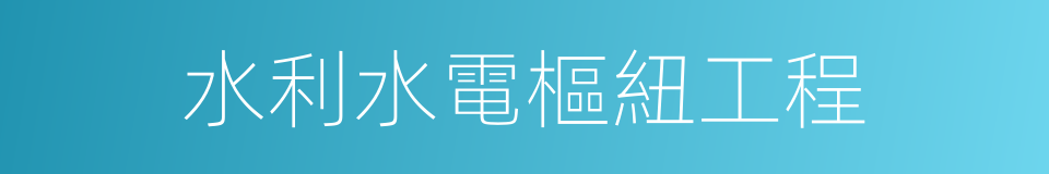 水利水電樞紐工程的同義詞