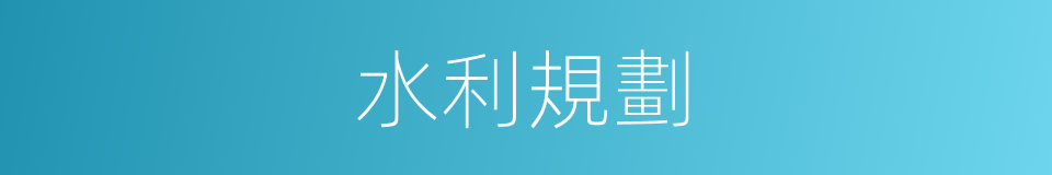 水利規劃的同義詞