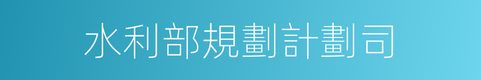 水利部規劃計劃司的同義詞