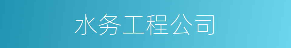 水务工程公司的同义词