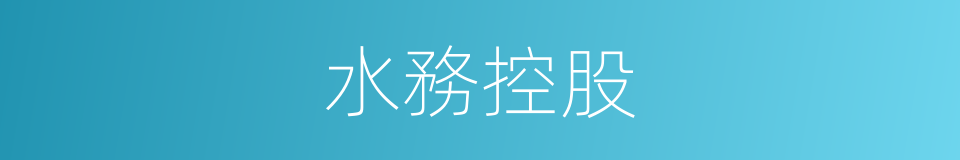 水務控股的同義詞