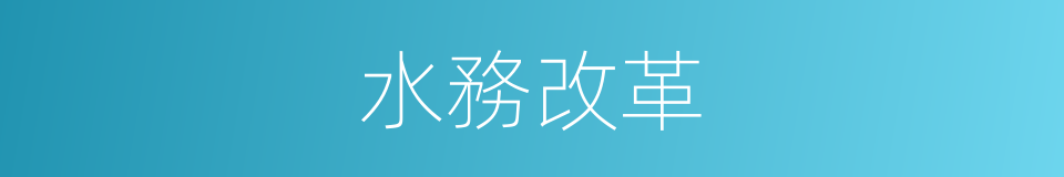 水務改革的同義詞