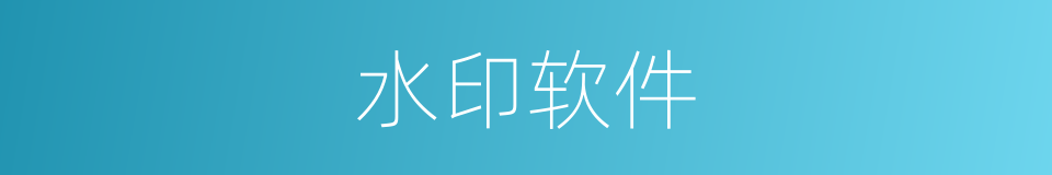 水印软件的同义词
