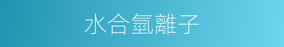 水合氫離子的同義詞