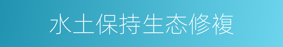 水土保持生态修複的同义词