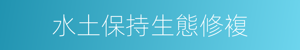 水土保持生態修複的同義詞
