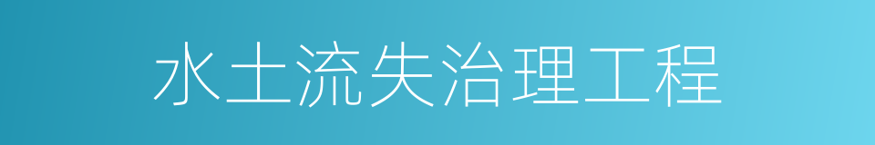 水土流失治理工程的同义词