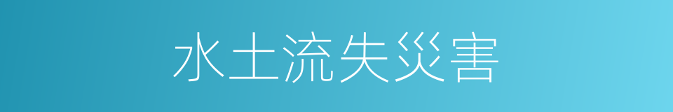 水土流失災害的同義詞