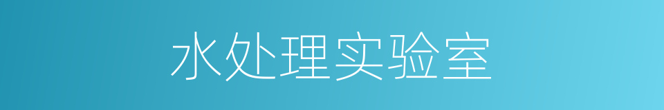 水处理实验室的同义词
