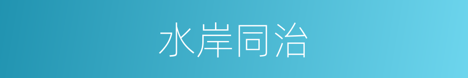 水岸同治的同义词