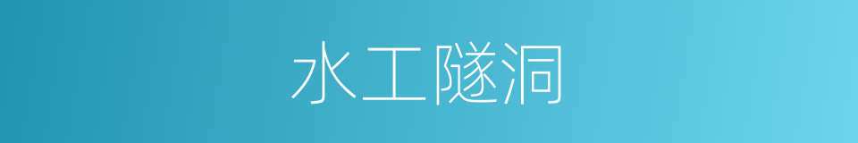 水工隧洞的同义词