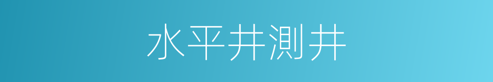 水平井測井的同義詞