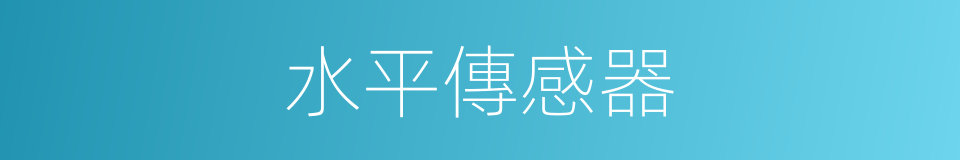 水平傳感器的同義詞