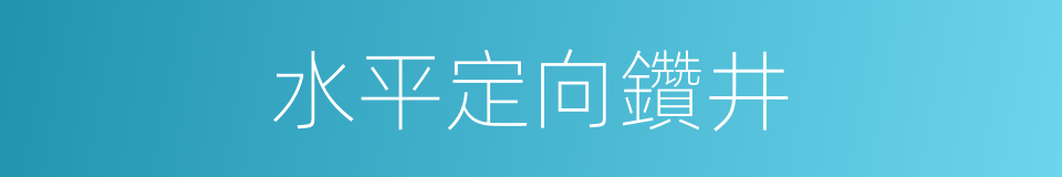 水平定向鑽井的同義詞