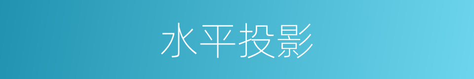 水平投影的意思