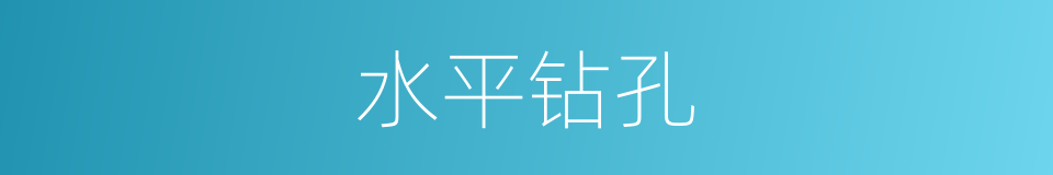 水平钻孔的同义词