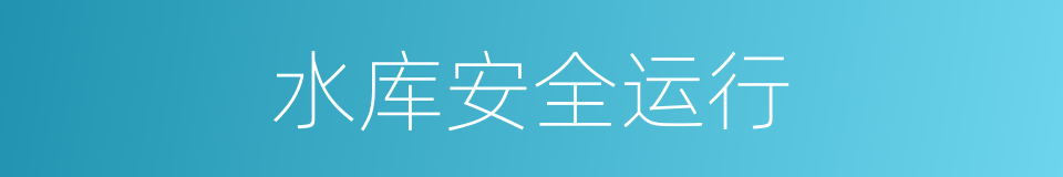 水库安全运行的同义词