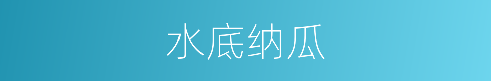 水底纳瓜的意思