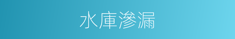 水庫滲漏的同義詞