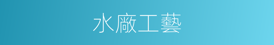 水廠工藝的意思