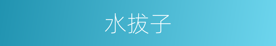 水拔子的同义词