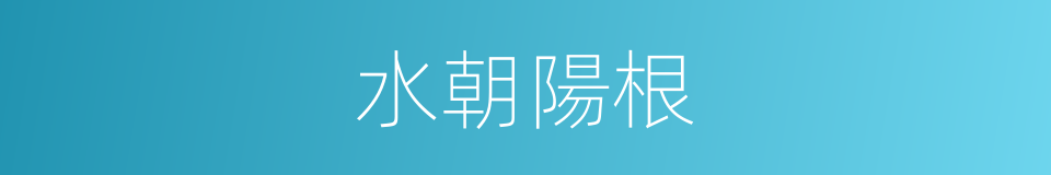 水朝陽根的同義詞