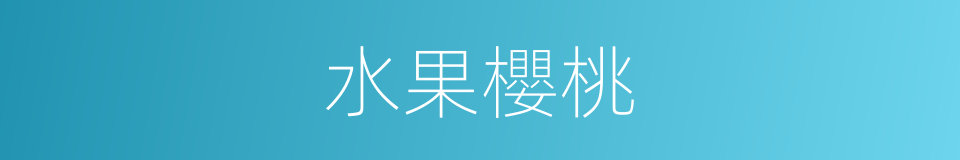 水果櫻桃的同義詞