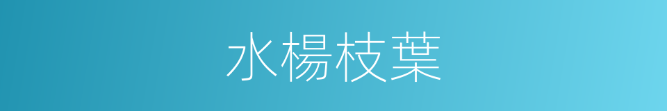 水楊枝葉的同義詞