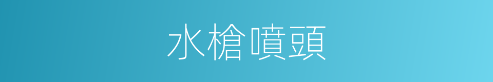 水槍噴頭的同義詞