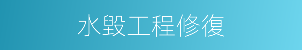水毀工程修復的同義詞