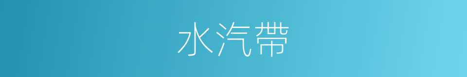 水汽帶的同義詞