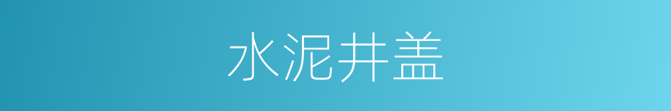 水泥井盖的同义词