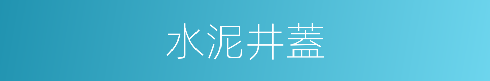 水泥井蓋的同義詞