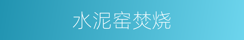 水泥窑焚烧的同义词