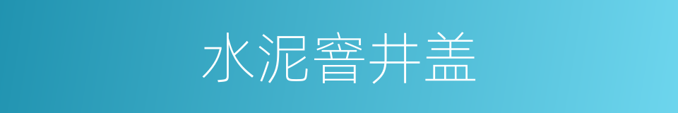 水泥窨井盖的同义词