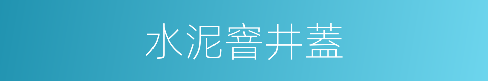 水泥窨井蓋的同義詞