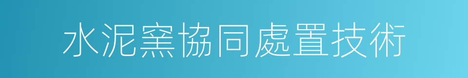 水泥窯協同處置技術的同義詞