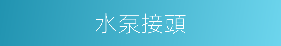 水泵接頭的同義詞