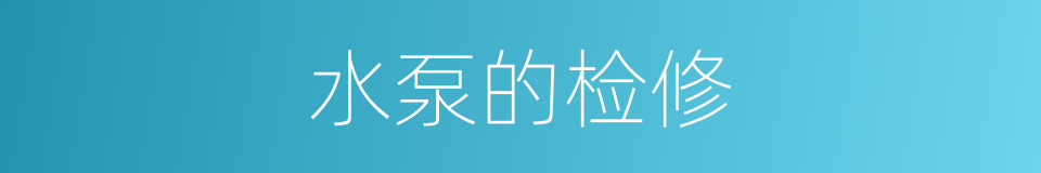 水泵的检修的同义词