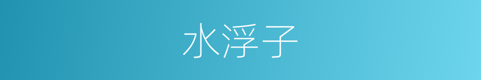 水浮子的意思