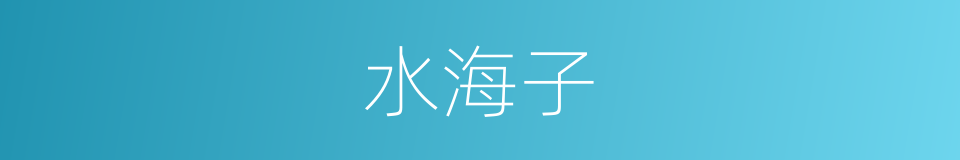 水海子的同义词