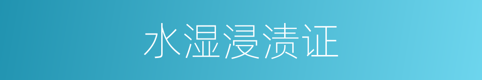 水湿浸渍证的同义词
