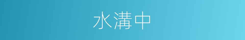 水溝中的同義詞