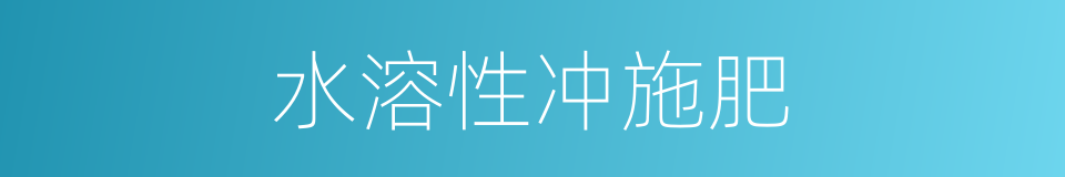 水溶性冲施肥的同义词