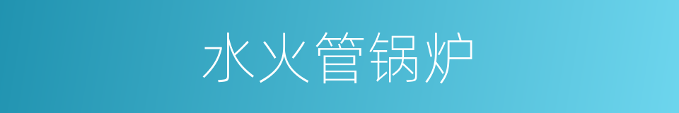 水火管锅炉的同义词