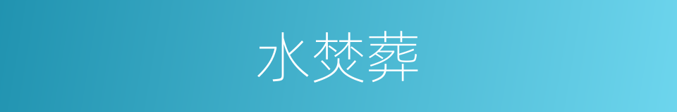 水焚葬的同义词