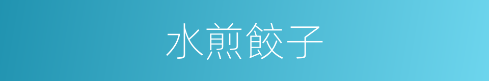水煎餃子的同義詞