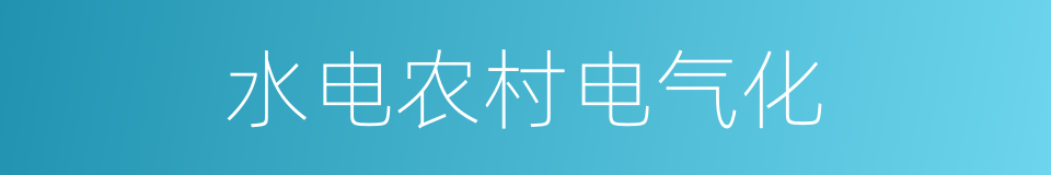 水电农村电气化的同义词